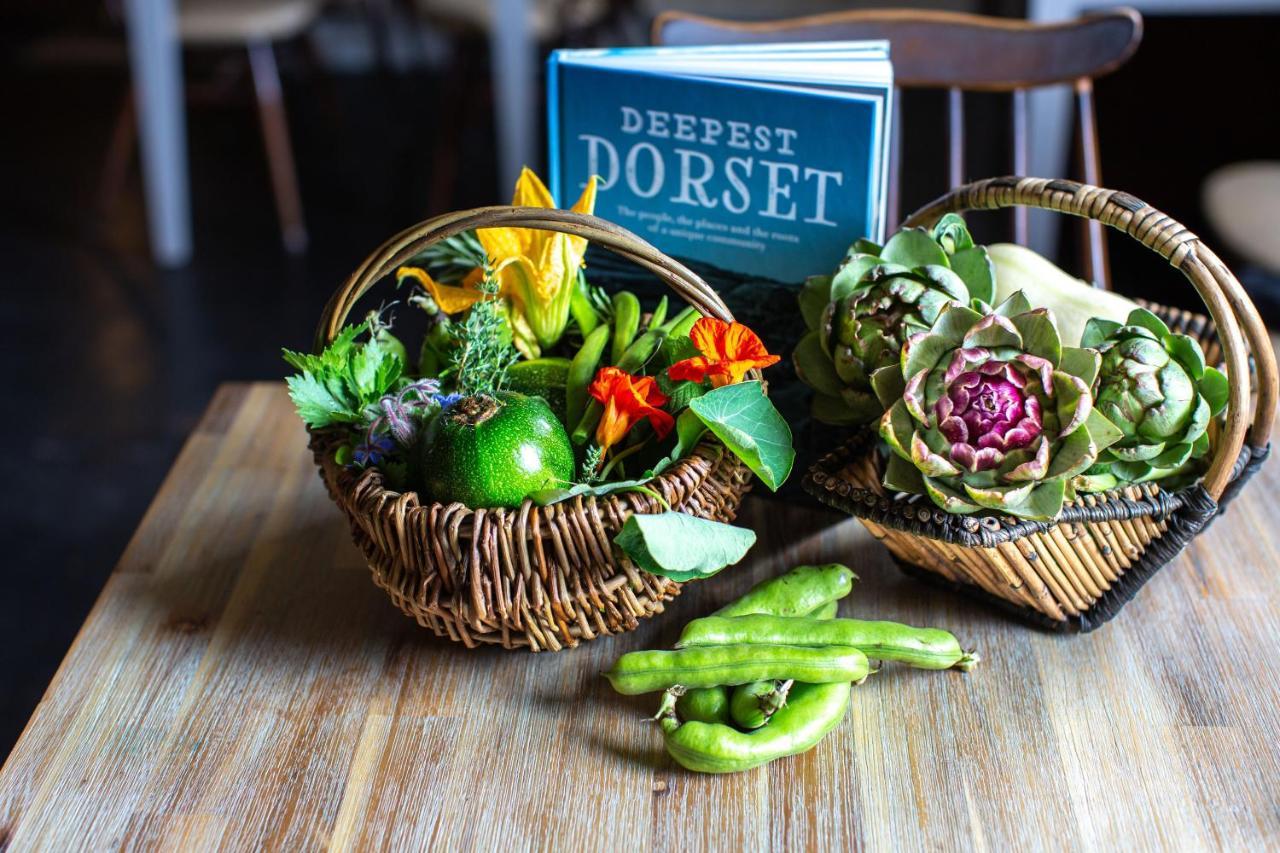 La Fosse At Cranborne B&B 외부 사진